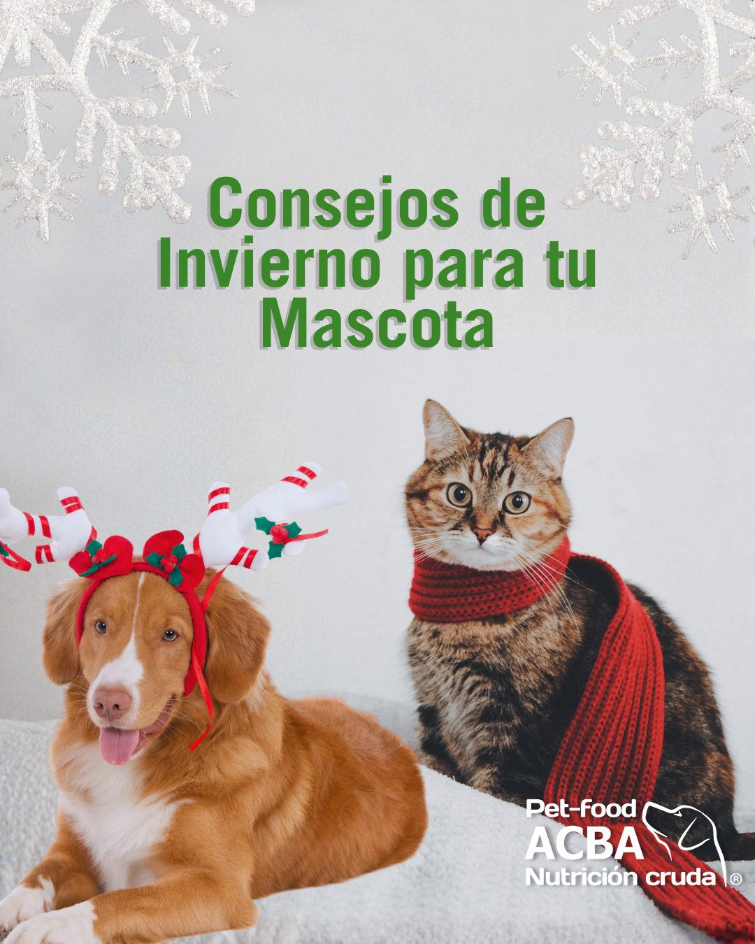 portada consejos de invierno
